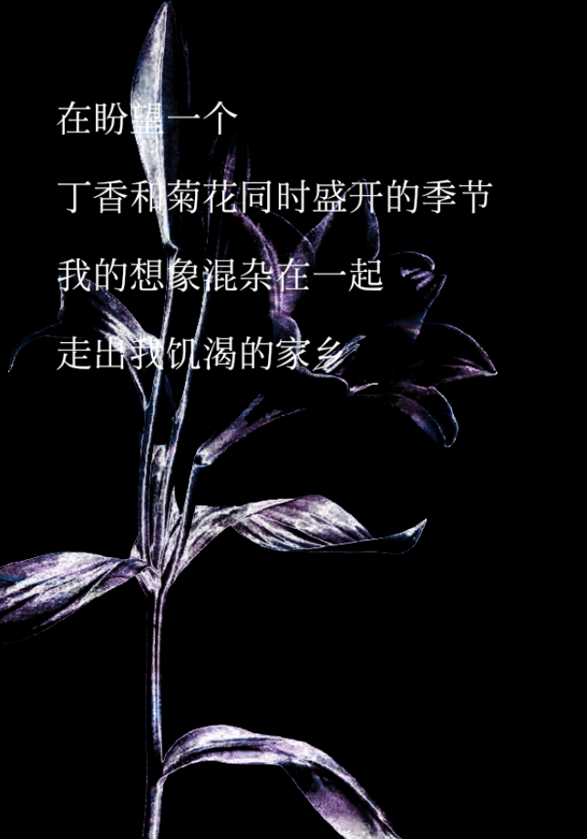 Pasted image 20240218102040.png