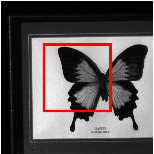 Pasted image 20240219160739.png