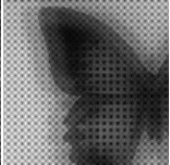 Pasted image 20240219160842.png