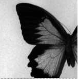Pasted image 20240219162430.png